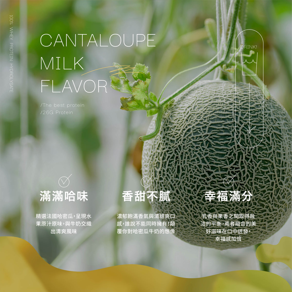 MELON · HYDRO WHEY